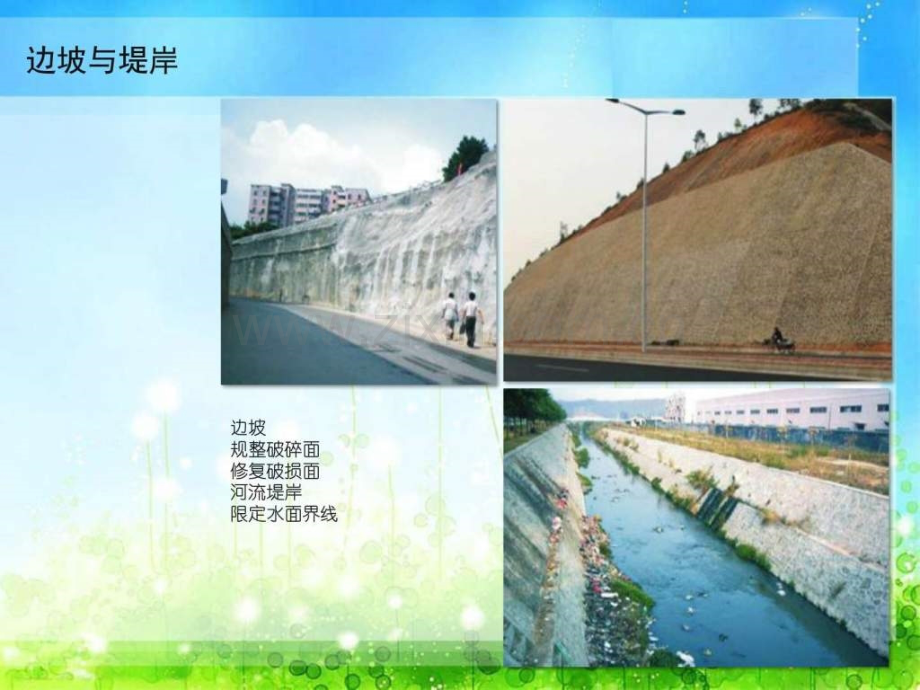 生态护坡系统.pptx_第2页