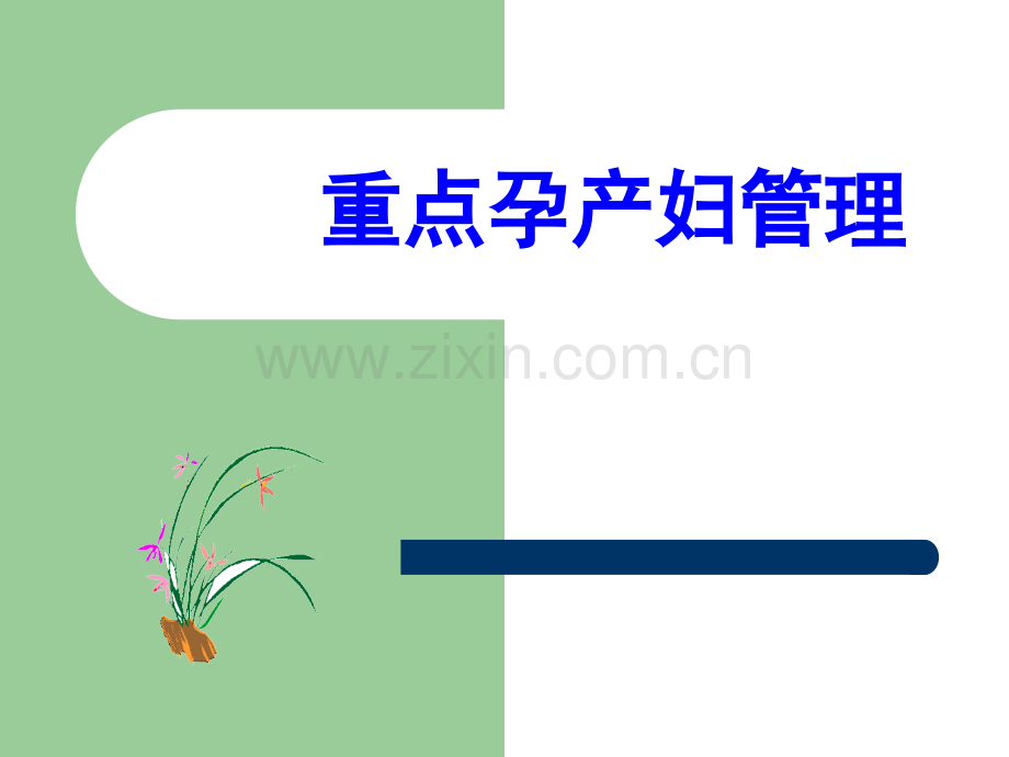 重点孕产妇管理.pptx_第1页