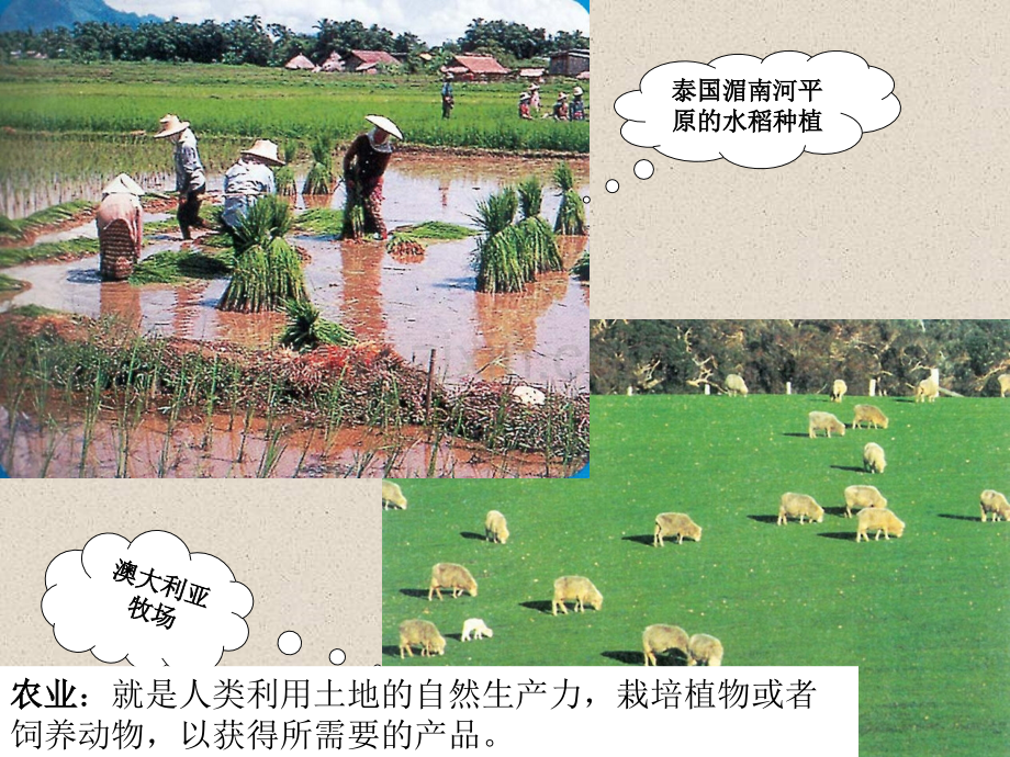 高中地理新人教版必修2311农业区位选择.pptx_第2页