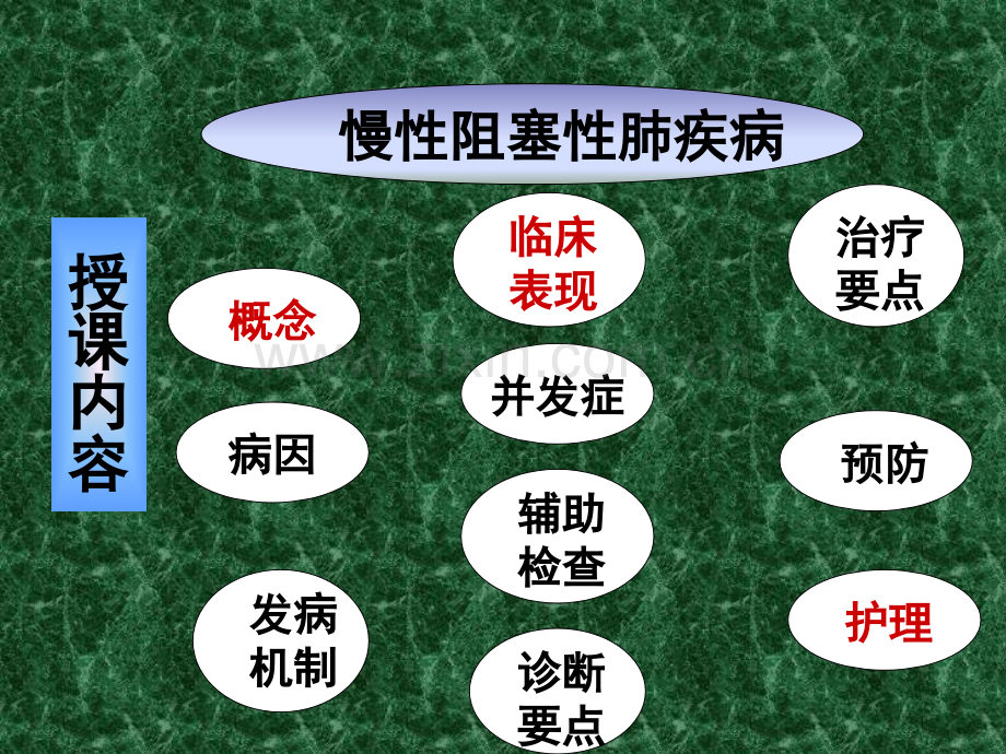 慢性阻塞性肺疾病及护理.pptx_第2页