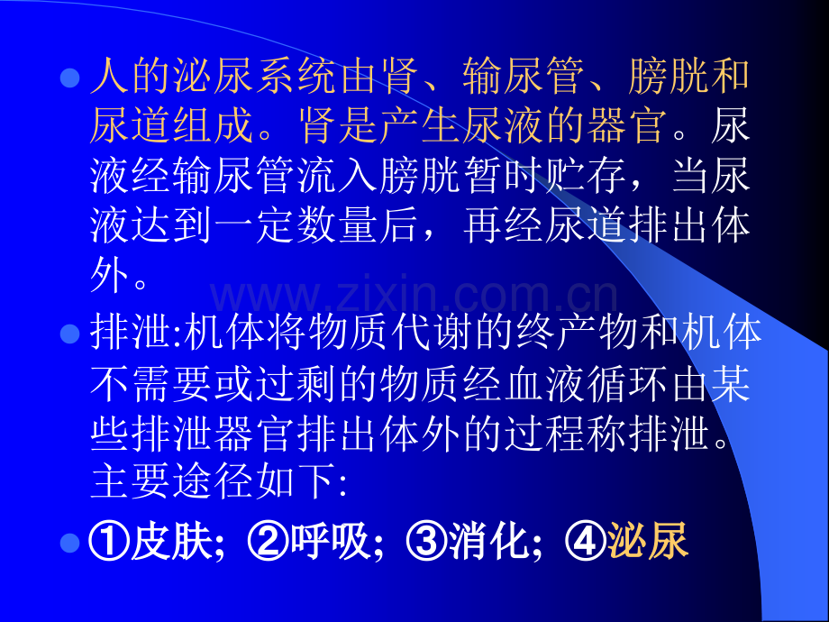七泌尿系统.pptx_第1页