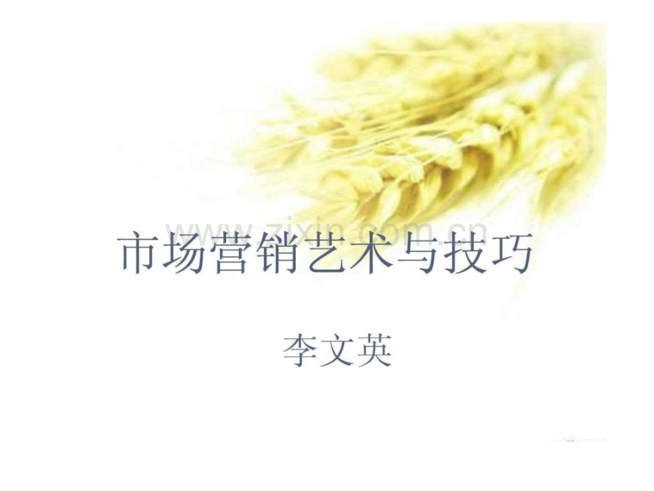 市场营销艺术与技巧培训.pptx_第1页