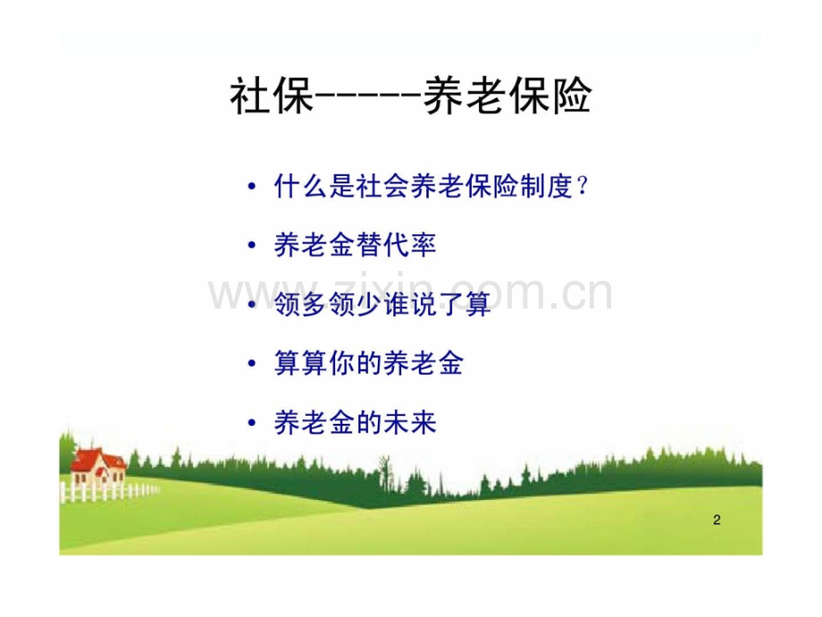 社保养老与医疗.pptx_第2页