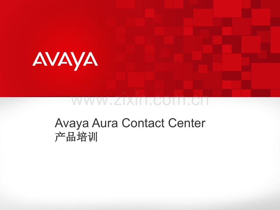 AVAYA呼叫中心介绍.pptx_第1页