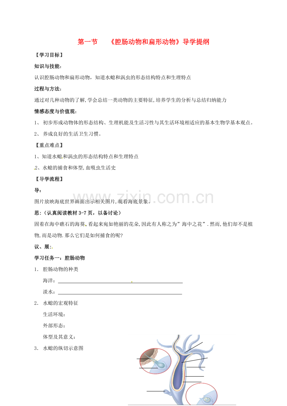 八年级生物上册-511-腔肠动物和扁形动物学案无答案新版新人教版.doc_第1页