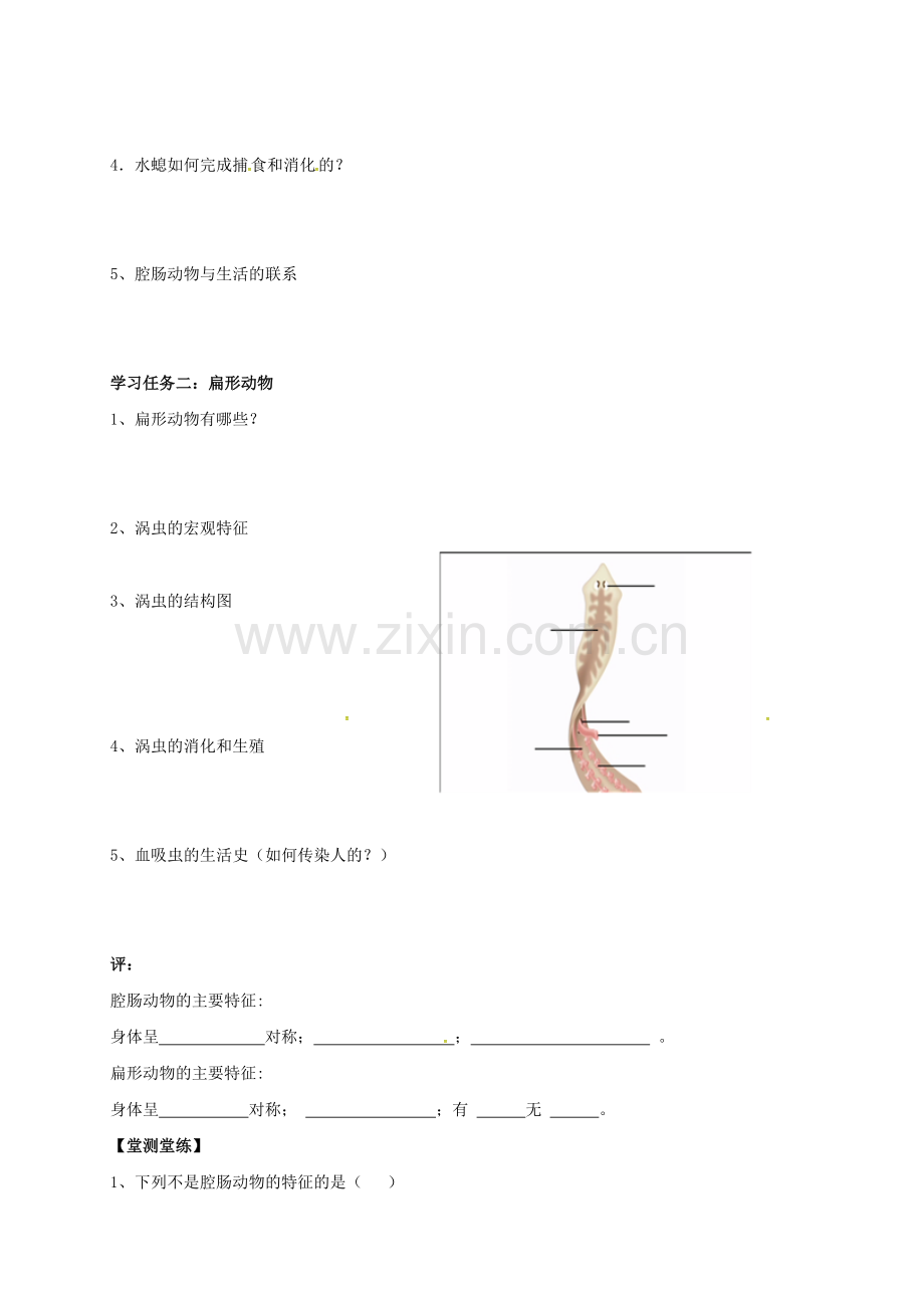 八年级生物上册-511-腔肠动物和扁形动物学案无答案新版新人教版.doc_第2页