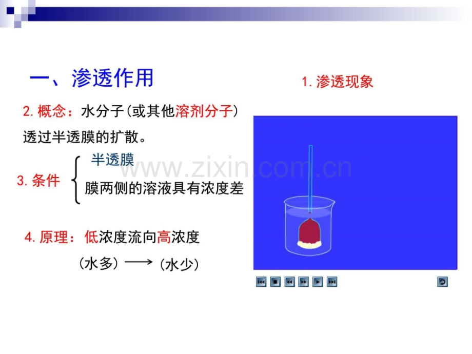 人教版必修1物质跨膜运输的实例共5.pptx_第2页