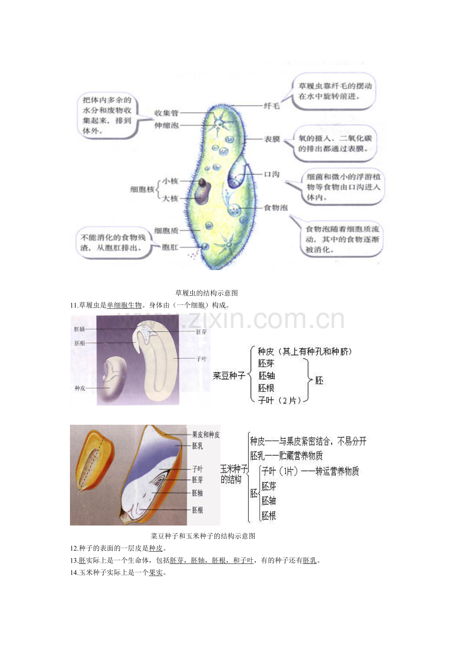 初中生物图集附题目1.doc_第2页