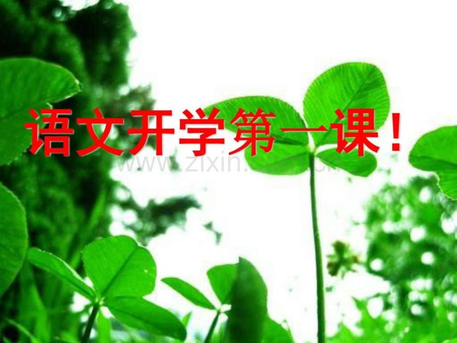 初中语文开学图文.pptx_第1页