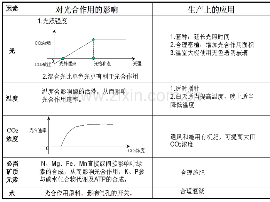 高三生物影响光合作用的主要外因.pptx_第2页