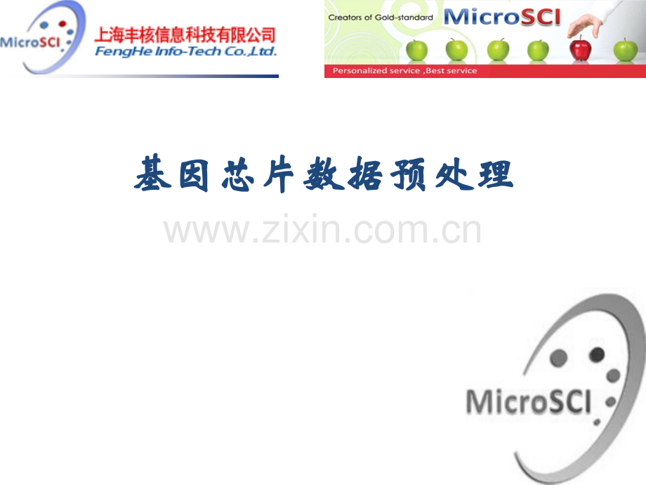 芯片数据预处理方法.pptx_第1页