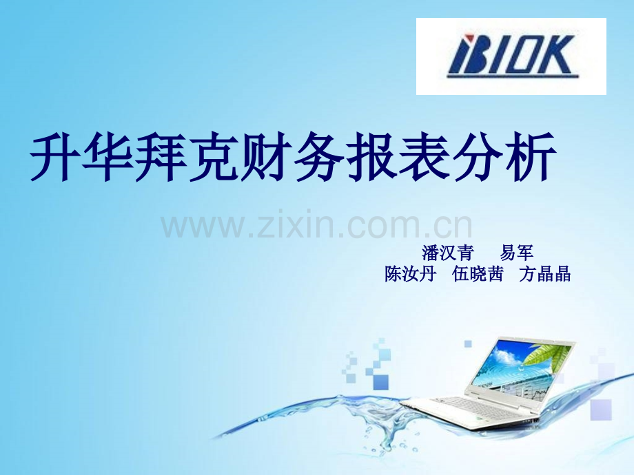 财务分析ppt.pptx_第1页