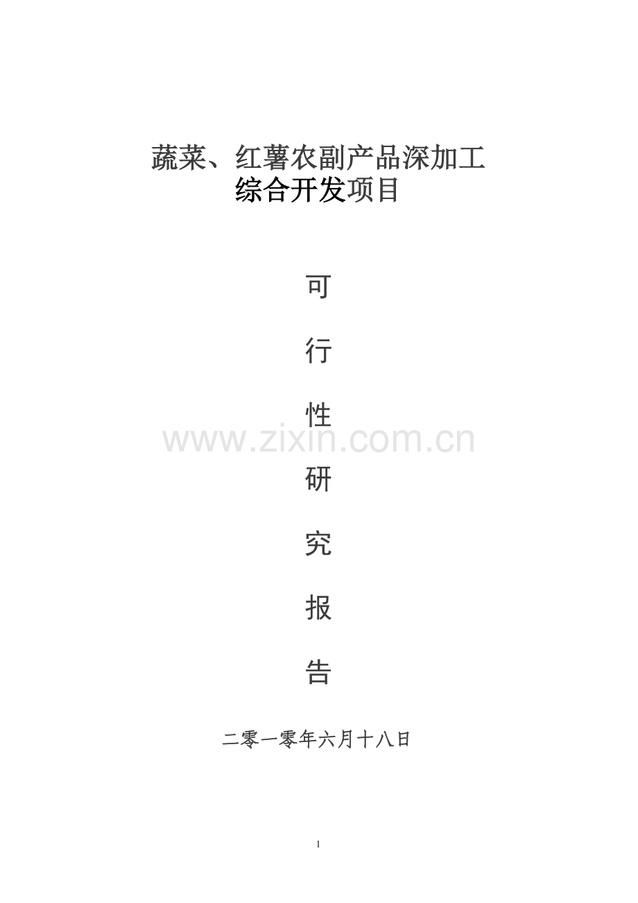 年产3200吨蔬菜、36000吨红薯农副产吕深加工综合开发项目建设投资可行性分析论证报告.doc_第1页