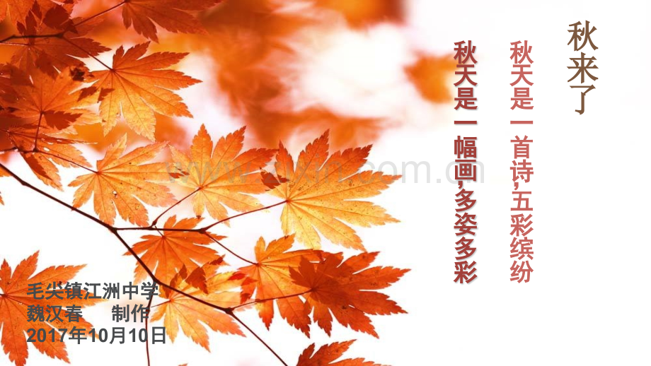 叶子剪贴画.pptx_第1页