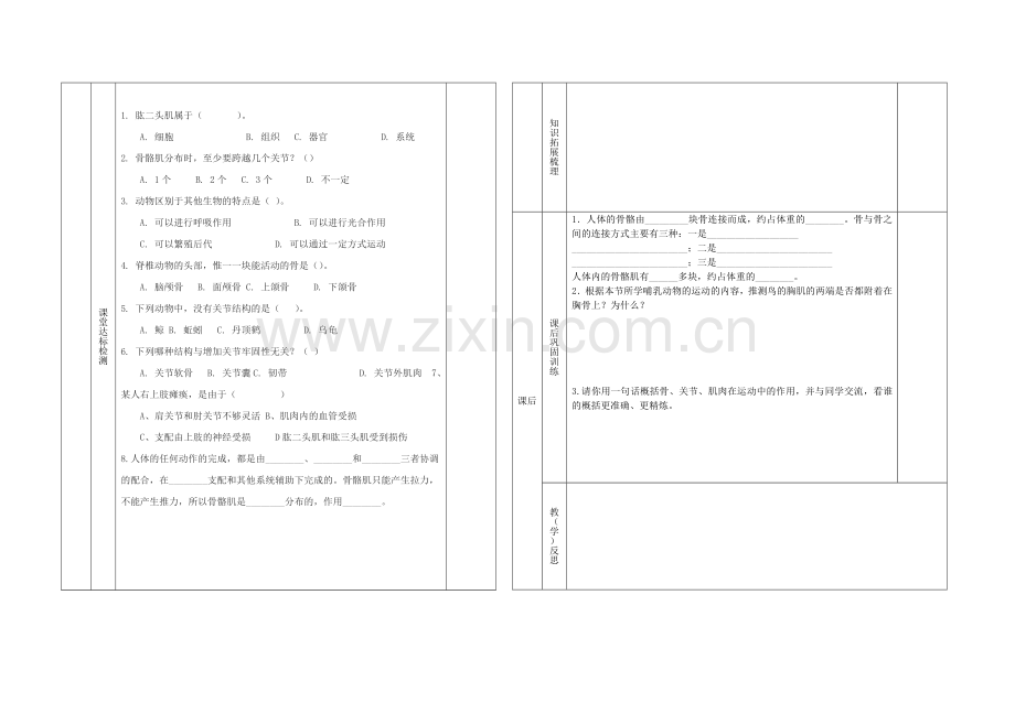 八年级生物上册----动物的运动学案无答案新版新人教版1.doc_第2页