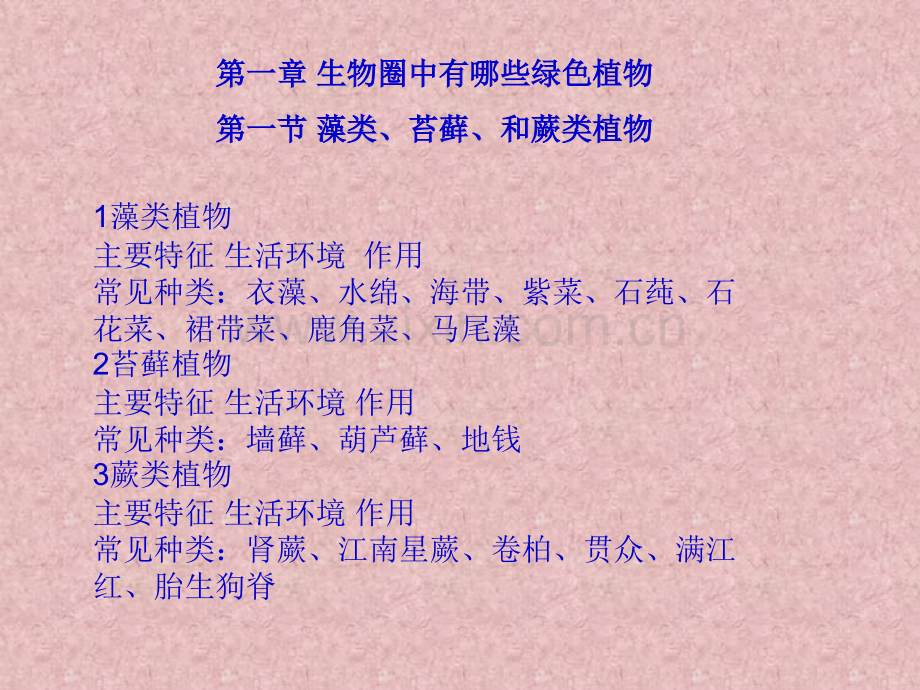 人教初中生物总复习.pptx_第2页