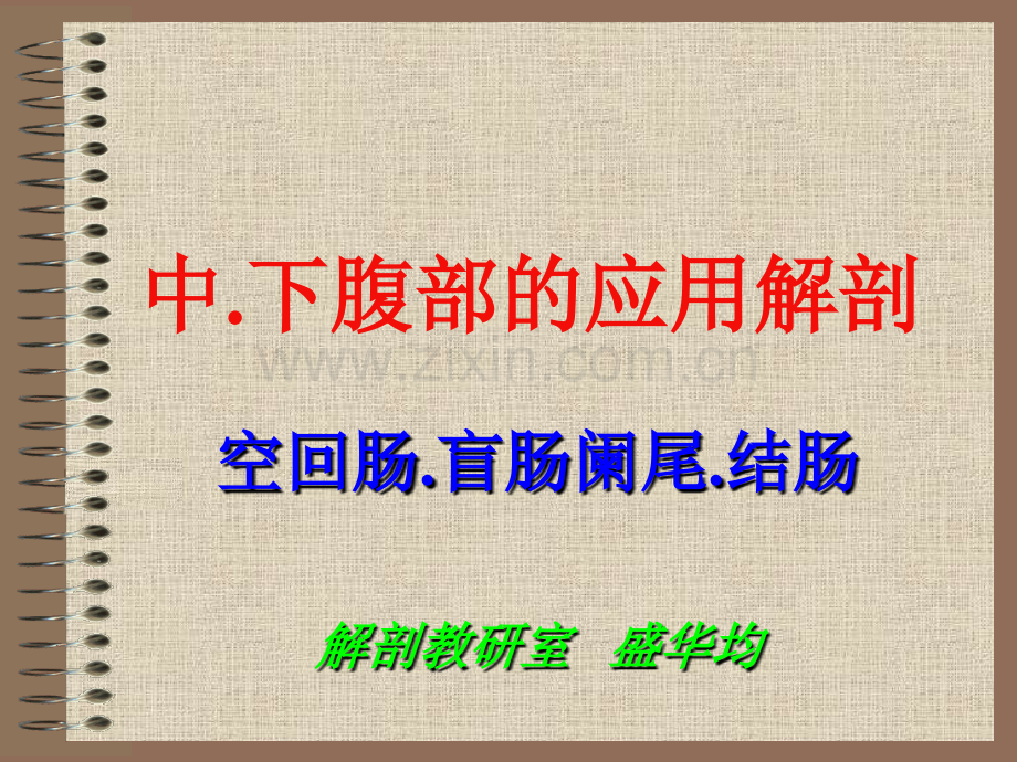5中下腹脏器的解剖.pptx_第1页