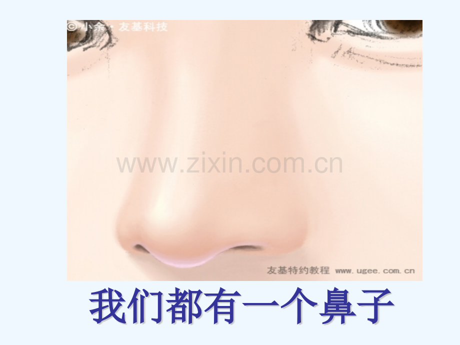 鼻子的卫生知识.pptx_第1页