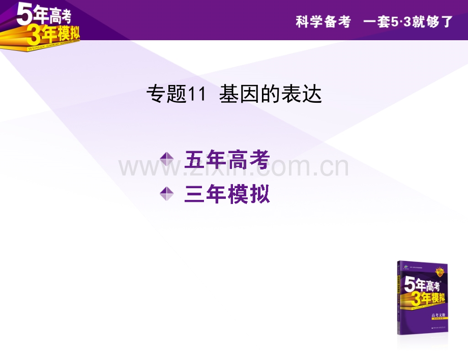 专题11-基因的表达.pptx_第1页