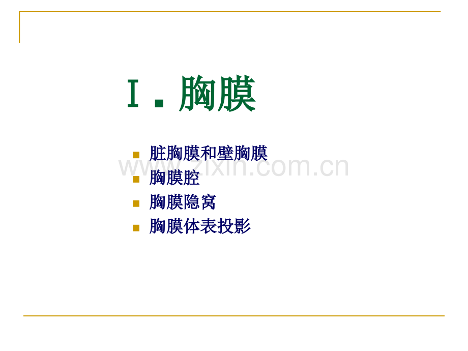 100323ThoraxYUAN0pleuraand.pptx_第2页