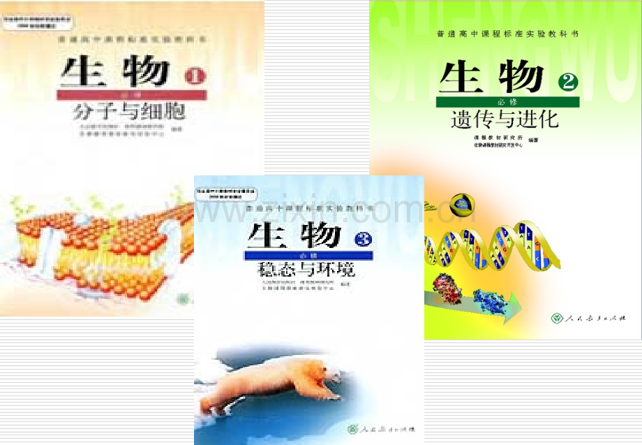 人体的内环境.pptx_第1页