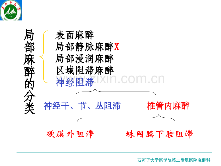 麻醉学局部麻醉.pptx_第2页
