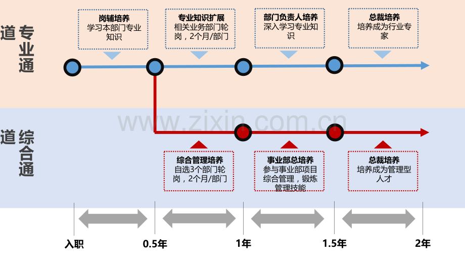 管培生培养时间轴.pptx_第1页