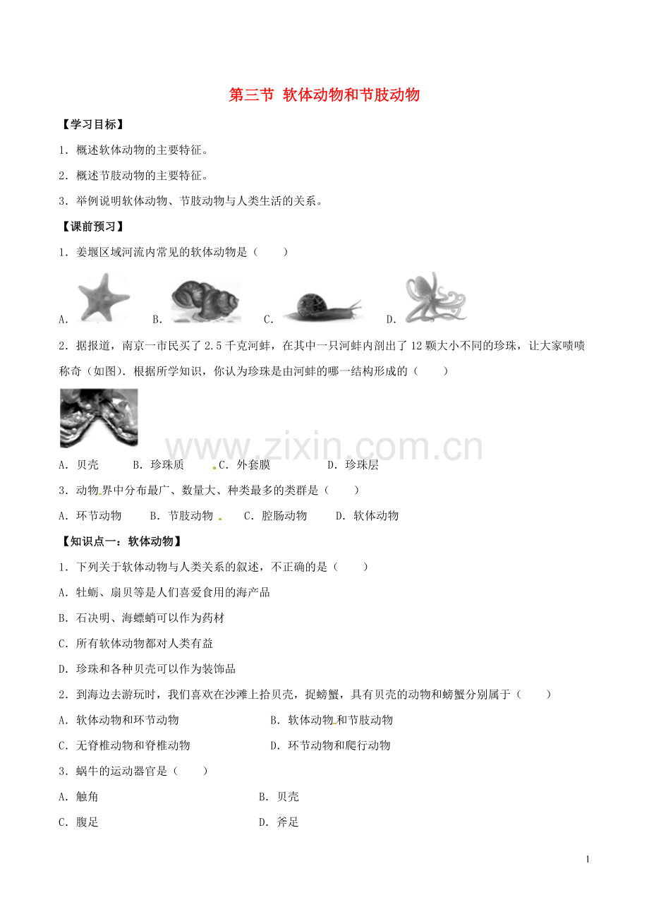 八年级生物上册----软体动物和节肢动物导学案2-新版新人教版1.doc_第1页