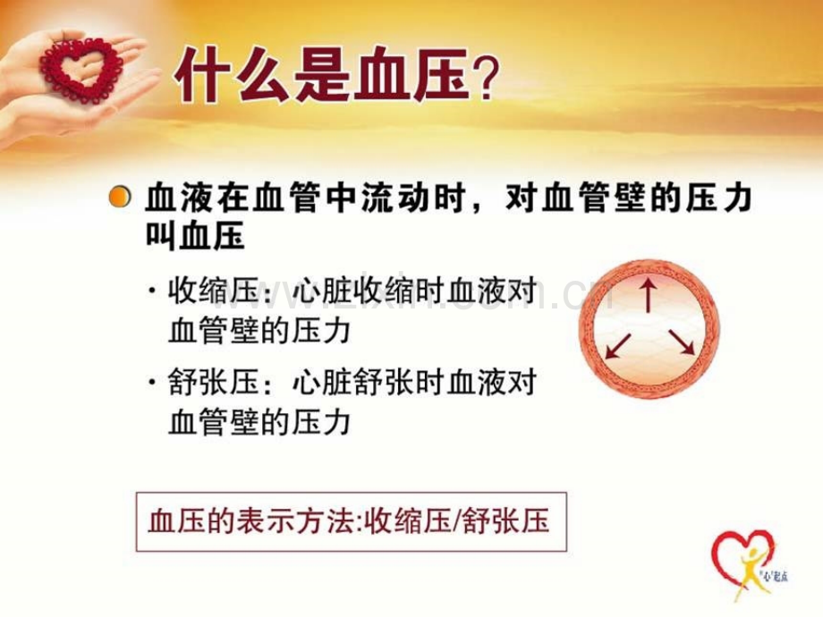 高血压患者的生活方式改善限盐之外的选择.pptx_第2页
