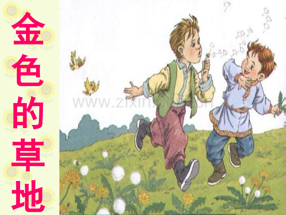 16金色的草地课件.pptx_第1页