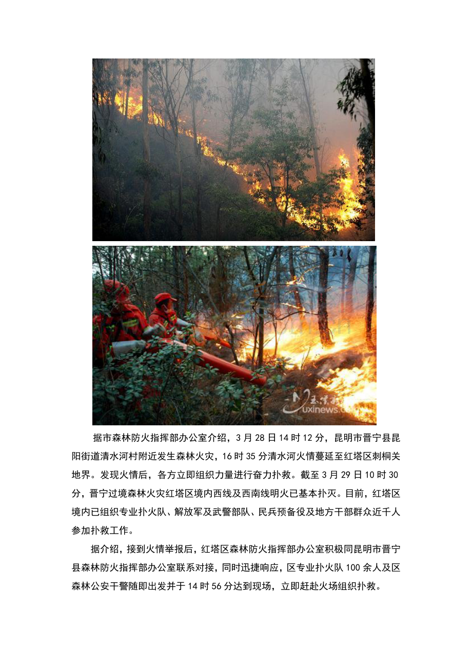 中学生安全教育系列森林防火教育班会教案3.doc_第2页