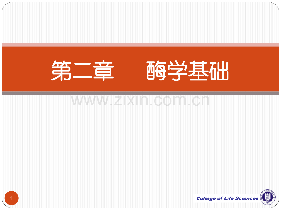 酶学与酶工程学生.pptx_第1页