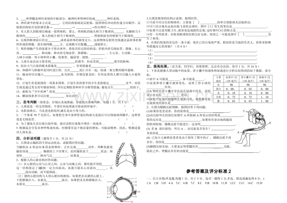 2014新人教版七年级生物下期末考试试卷及答案9.doc_第2页