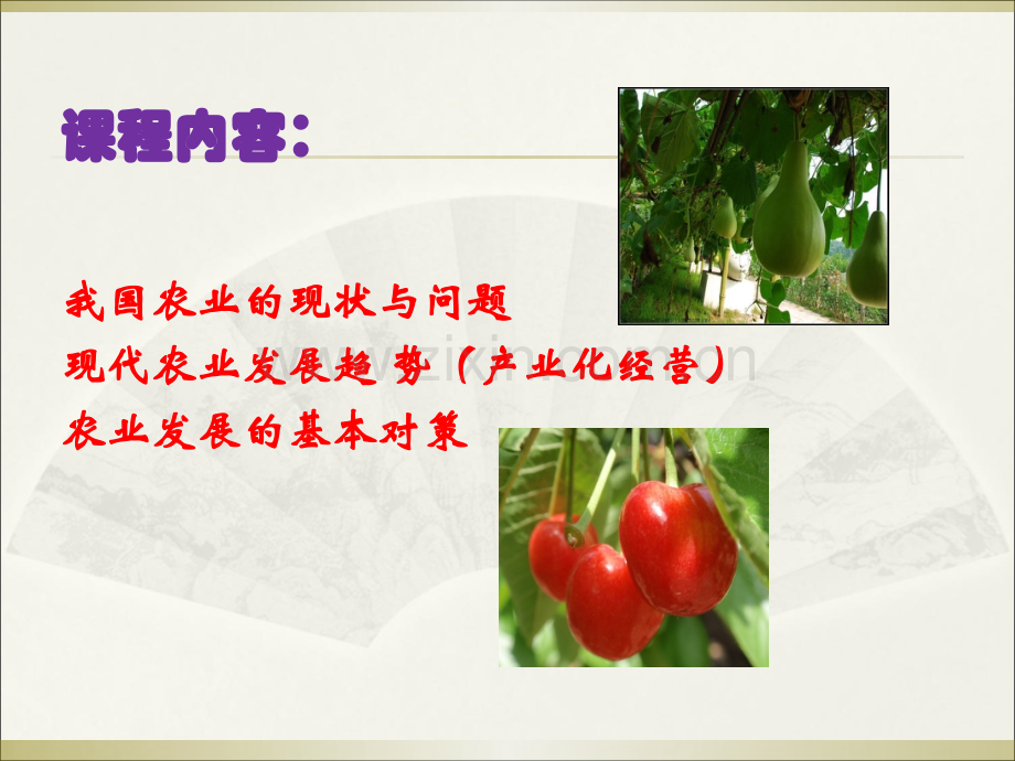 现代农业发展现状与趋势.pptx_第2页