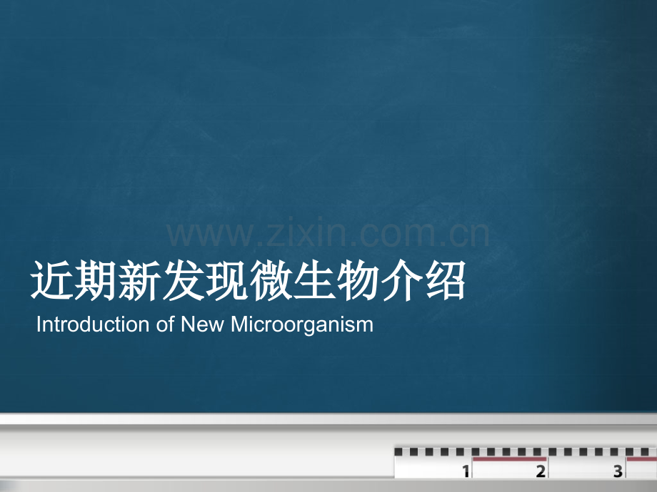微生物极端嗜热菌.pptx_第1页