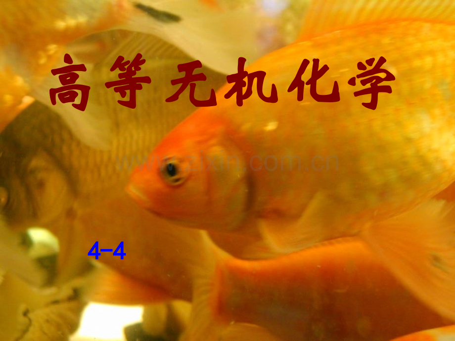 高等无机44.pptx_第1页