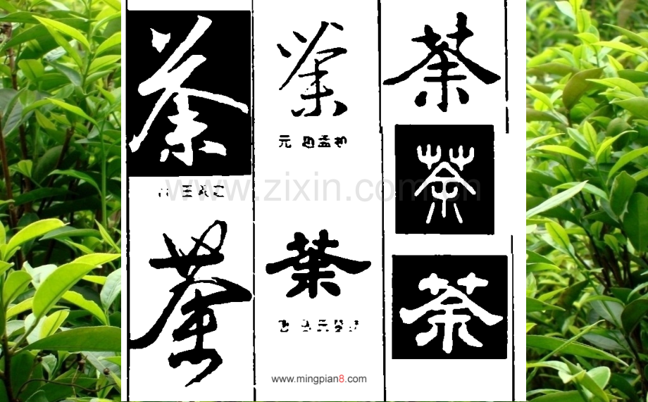 中国茶文化中文版.pptx_第2页