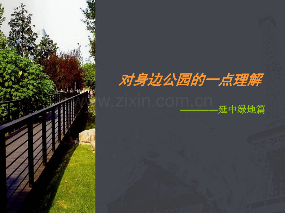 上海延中绿地赏析.pptx_第1页