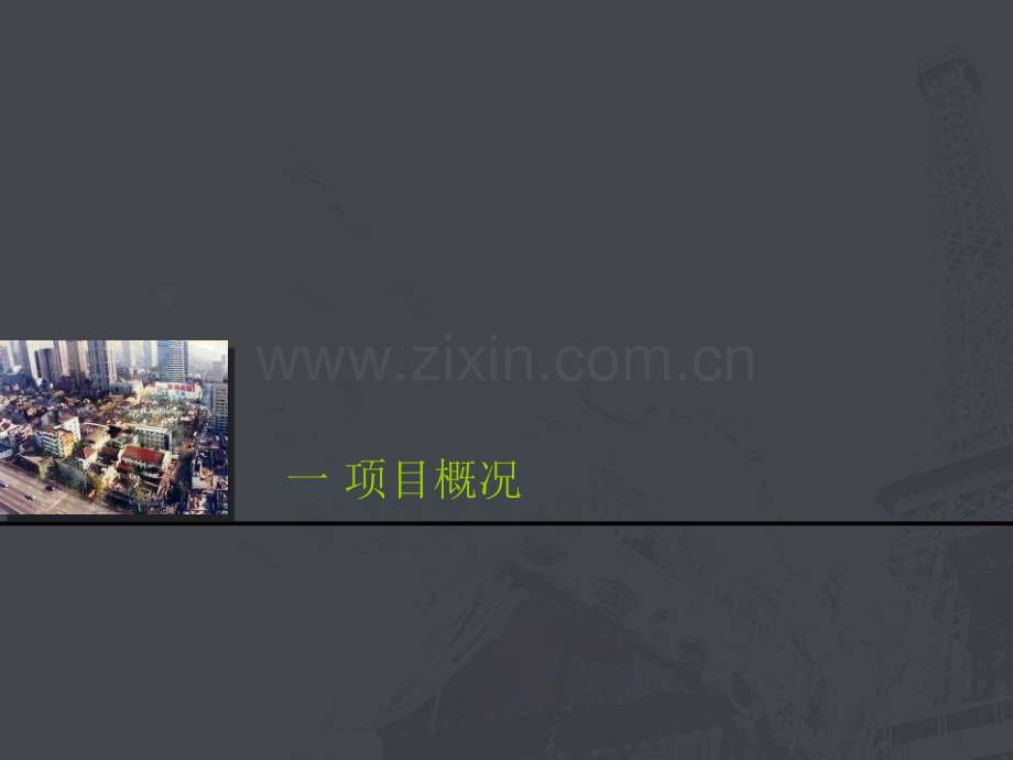 上海延中绿地赏析.pptx_第2页