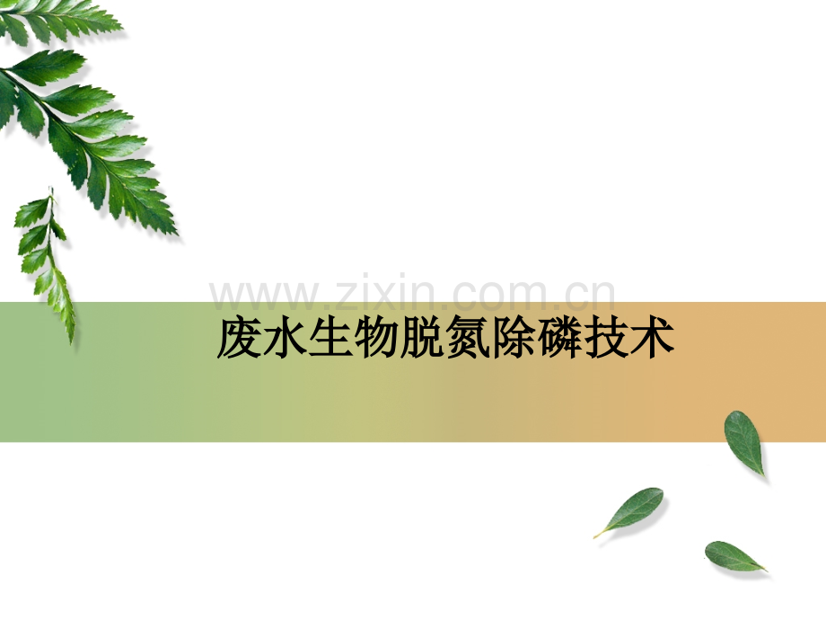 好氧活性污泥法脱氮系统.pptx_第1页