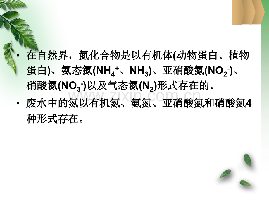 好氧活性污泥法脱氮系统.pptx_第2页