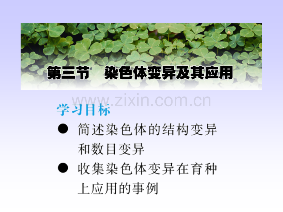 2331--染色体变异及其应用.pptx_第1页