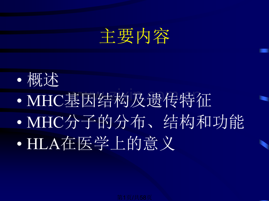 主要组织相容性复合体及分子.pptx_第1页