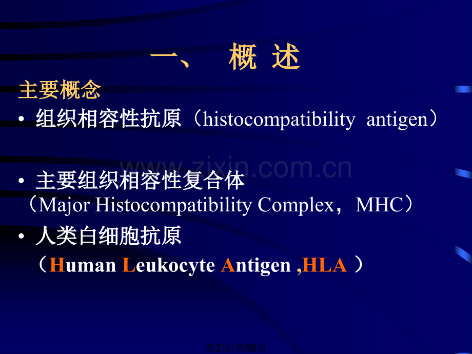 主要组织相容性复合体及分子.pptx_第2页