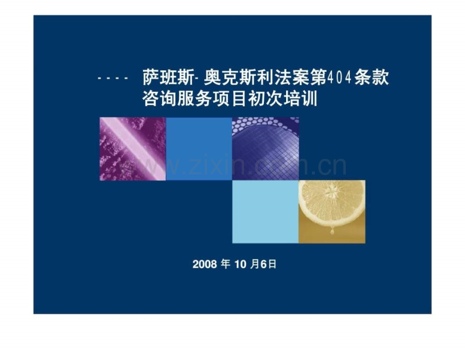 萨班斯法案培训.pptx_第1页
