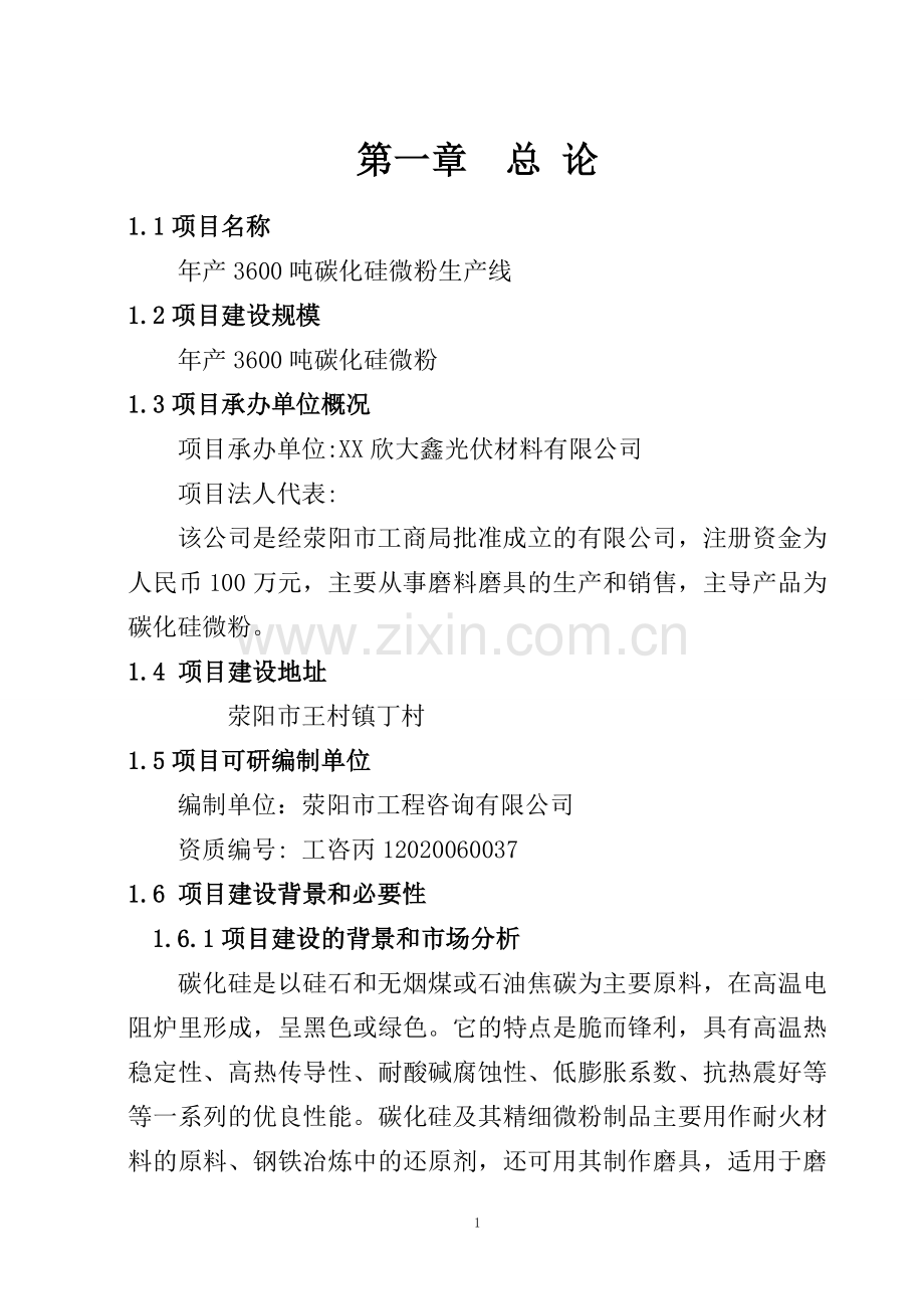 年产3600吨碳化硅微粉生产线项目可行性研究报告-(2).doc_第1页