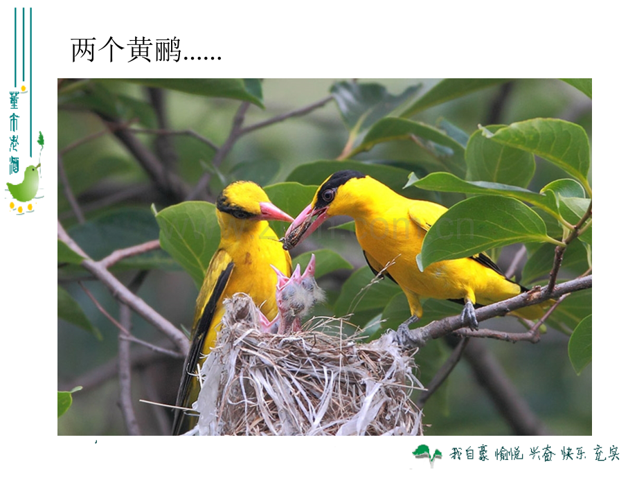 动物在生物圈中的作用共51张.pptx_第1页