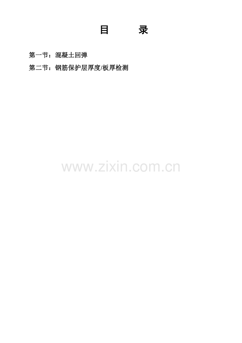 主体结构实体检测方案要点.doc_第2页