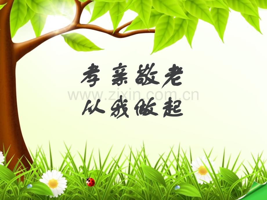孝亲敬老从我做起.pptx_第1页