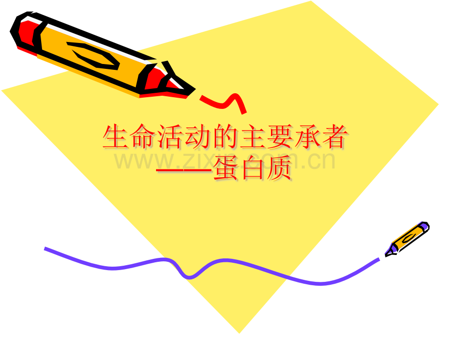 高中生物-蛋白质.pptx_第1页